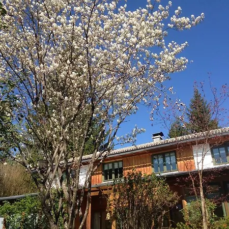 Petra Maria Soelle - Sehr Privat *