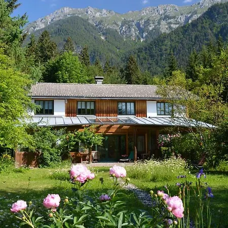 Petra Maria Soelle - Sehr Privat *