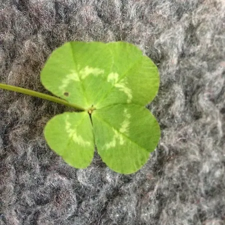 Σπίτι διακοπών Petra Maria Soelle - Sehr Privat