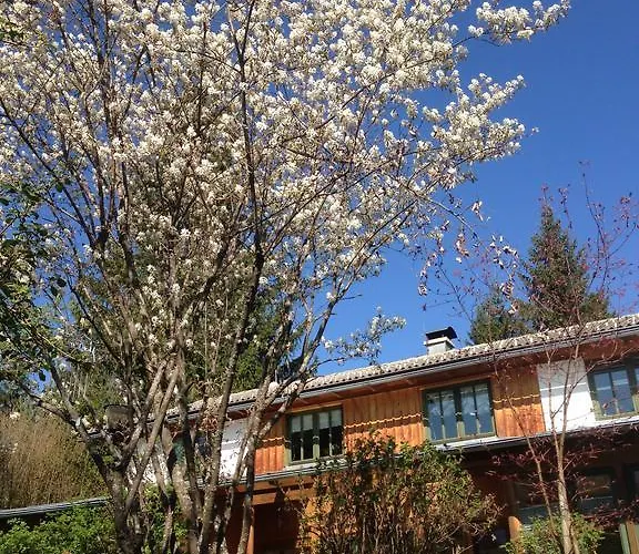 Petra Maria Soelle - Sehr Privat *