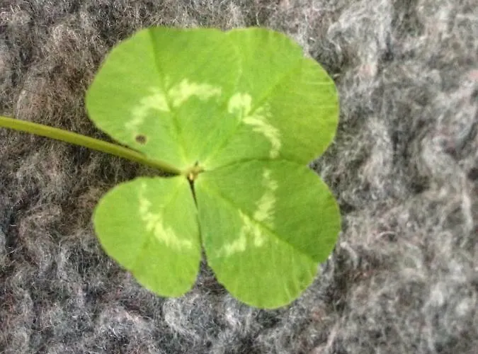 Tatil Evi Petra Maria Soelle - Sehr Privat