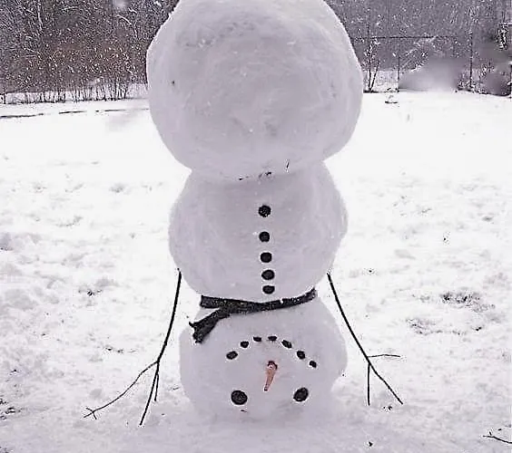 Petra Maria Soelle - Sehr Privat